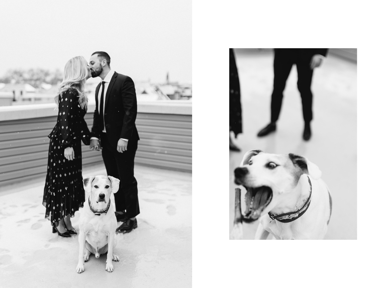dogs at engagements